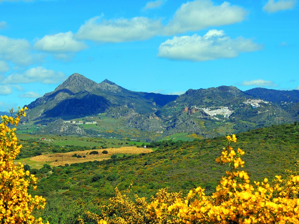 Foto de Casares (Málaga), España