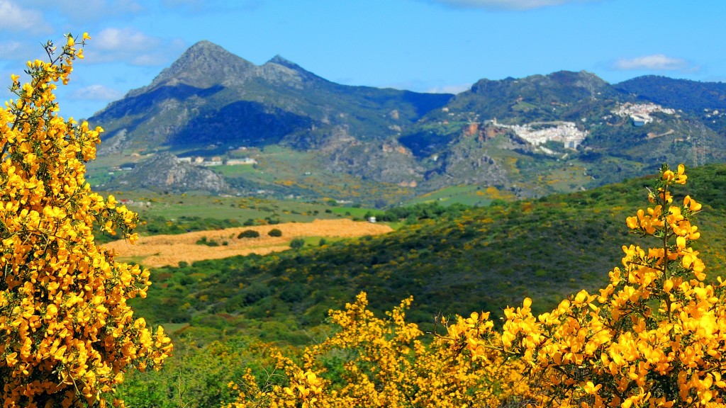 Foto de Casares (Málaga), España