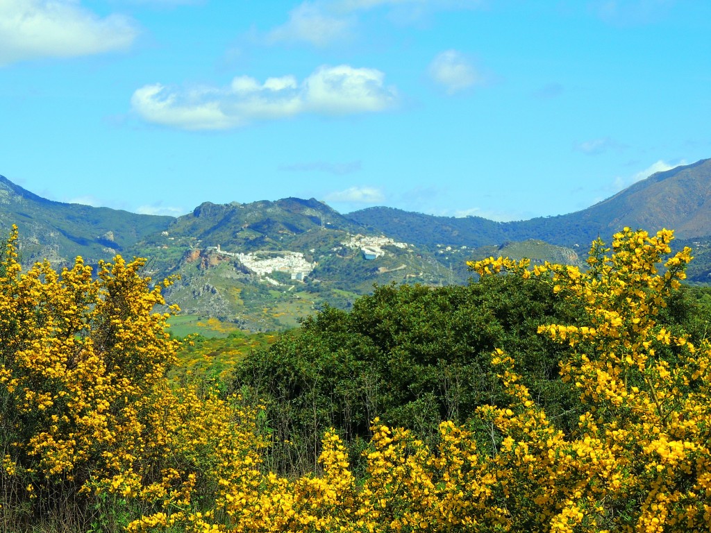 Foto de Casares (Málaga), España