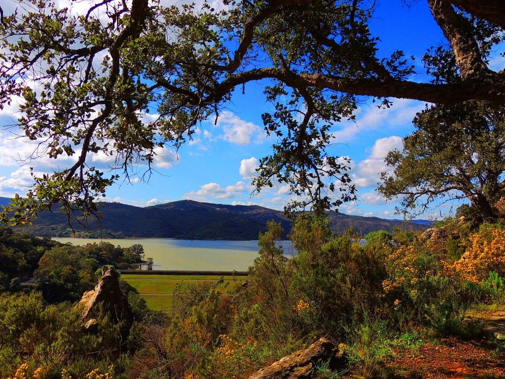 Foto: Presa del Guadarranque - Castellar de la Frontera (Cádiz), España