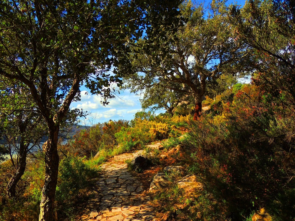 Foto: La Almoraima - Castellar de la Frontera (Cádiz), España