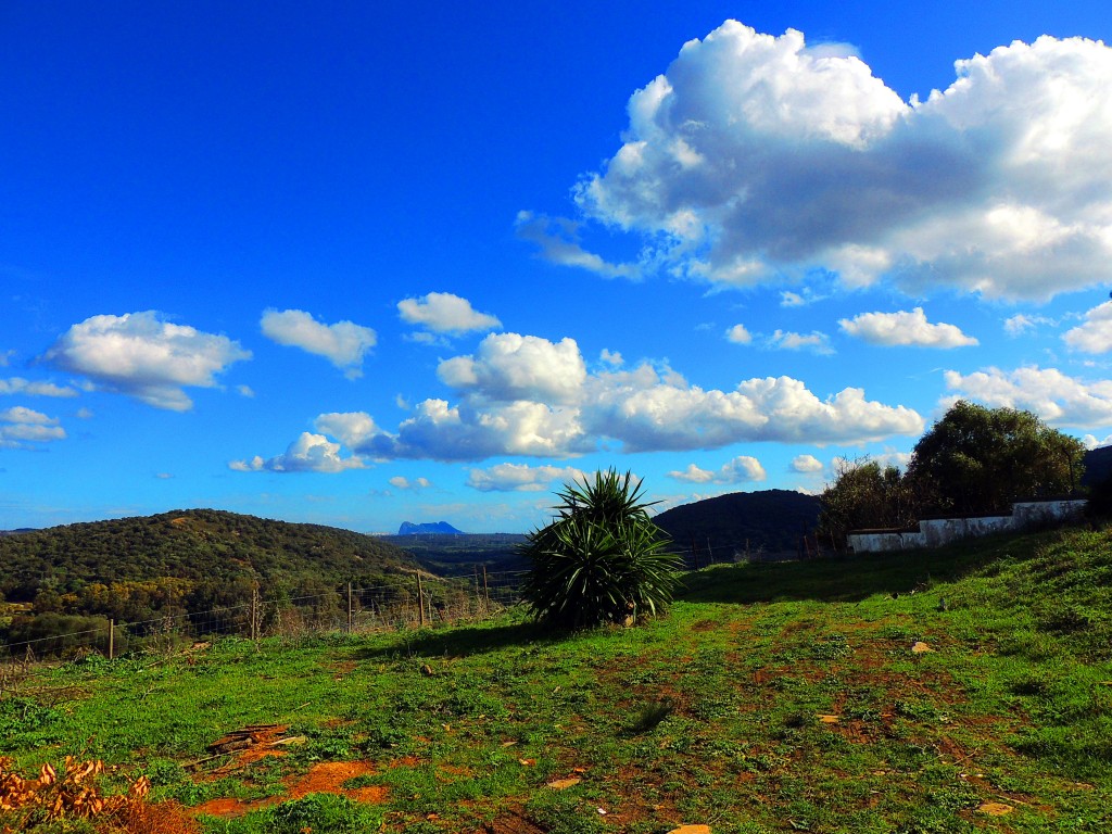 Foto de Castellar de la Frontera (Cádiz), España