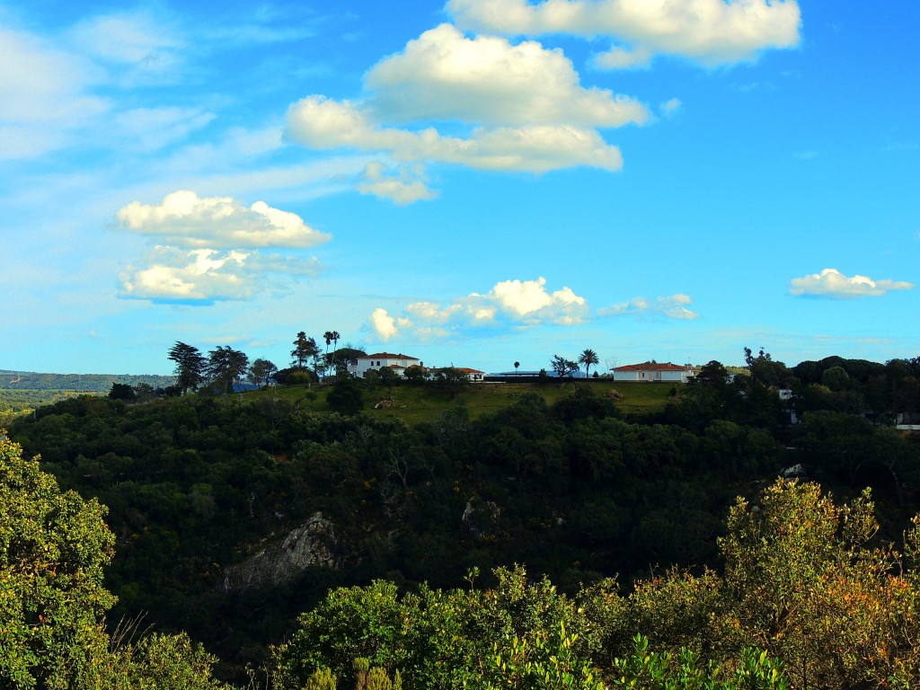 Foto: Almoraima - Castellar de la Frontera (Cádiz), España