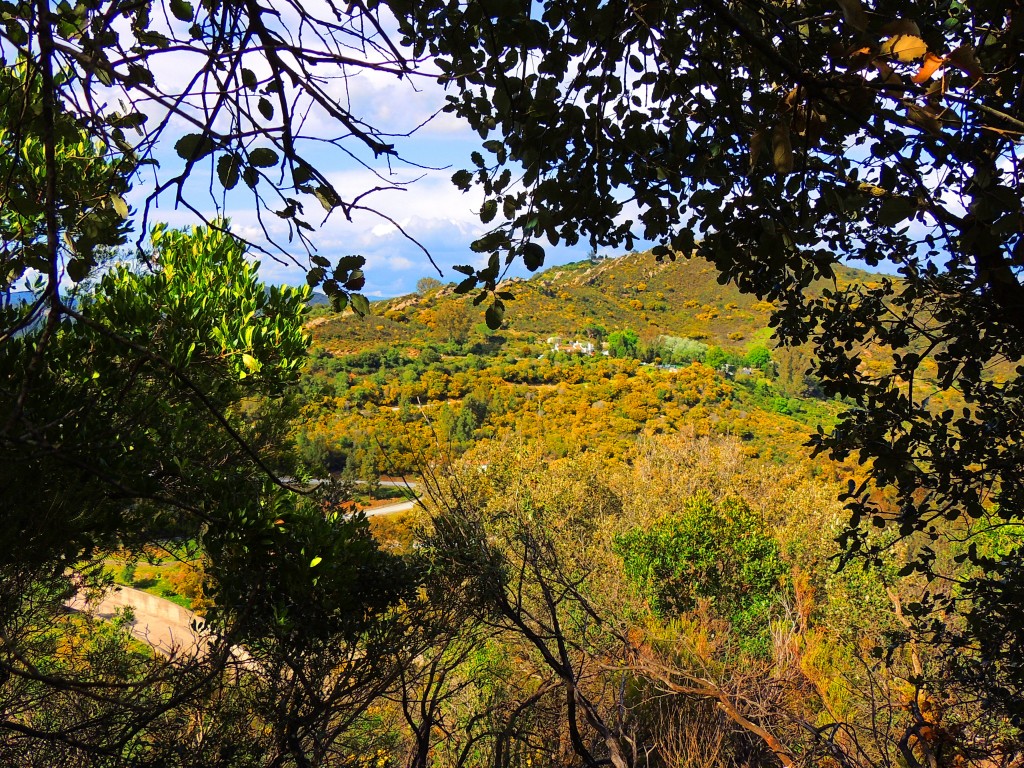 Foto de Castellar de la Frontera (Cádiz), España