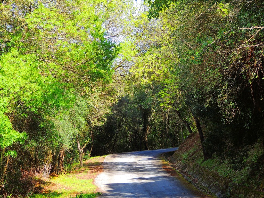 Foto de Castellar de la Frontera (Cádiz), España