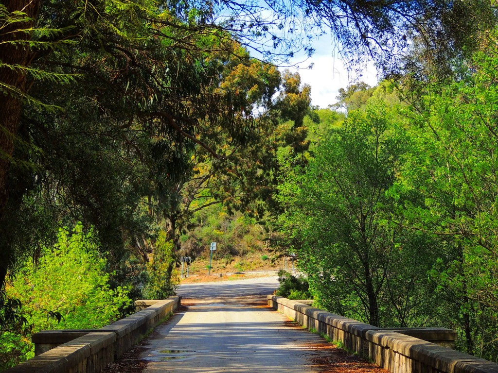 Foto de Castellar de la Frontera (Cádiz), España