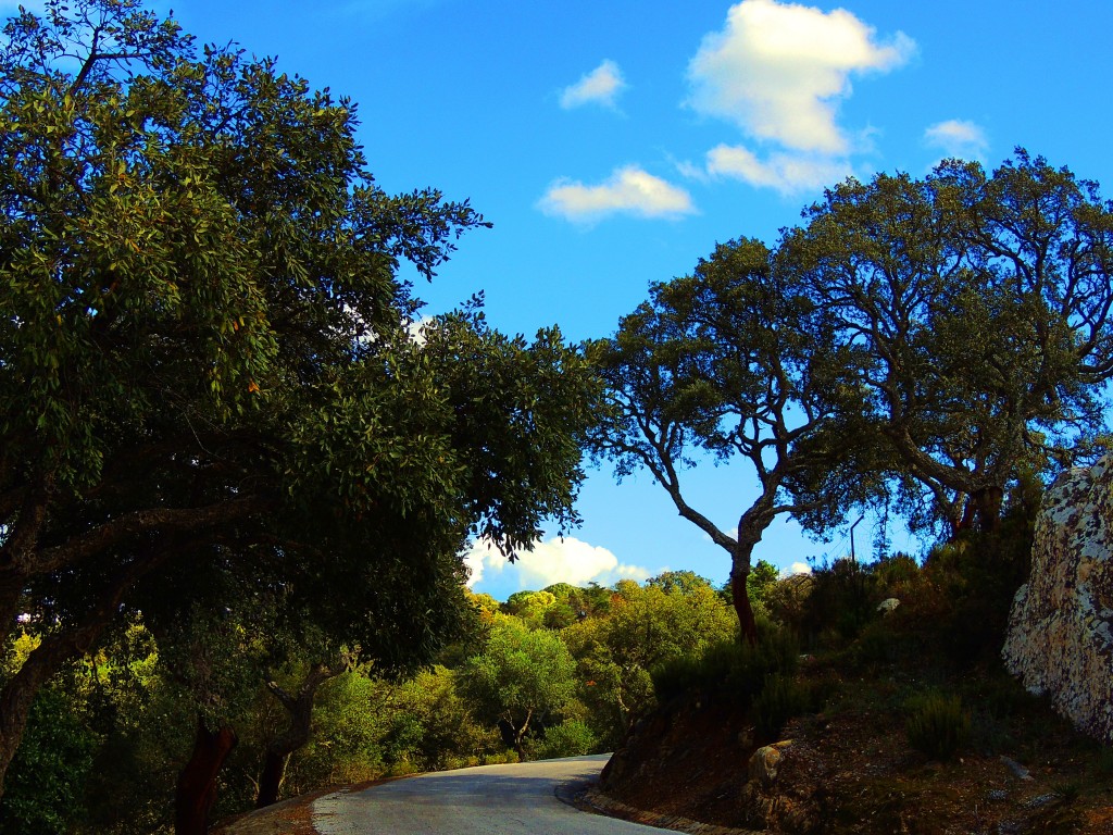 Foto de Castellar de la Frontera (Cádiz), España