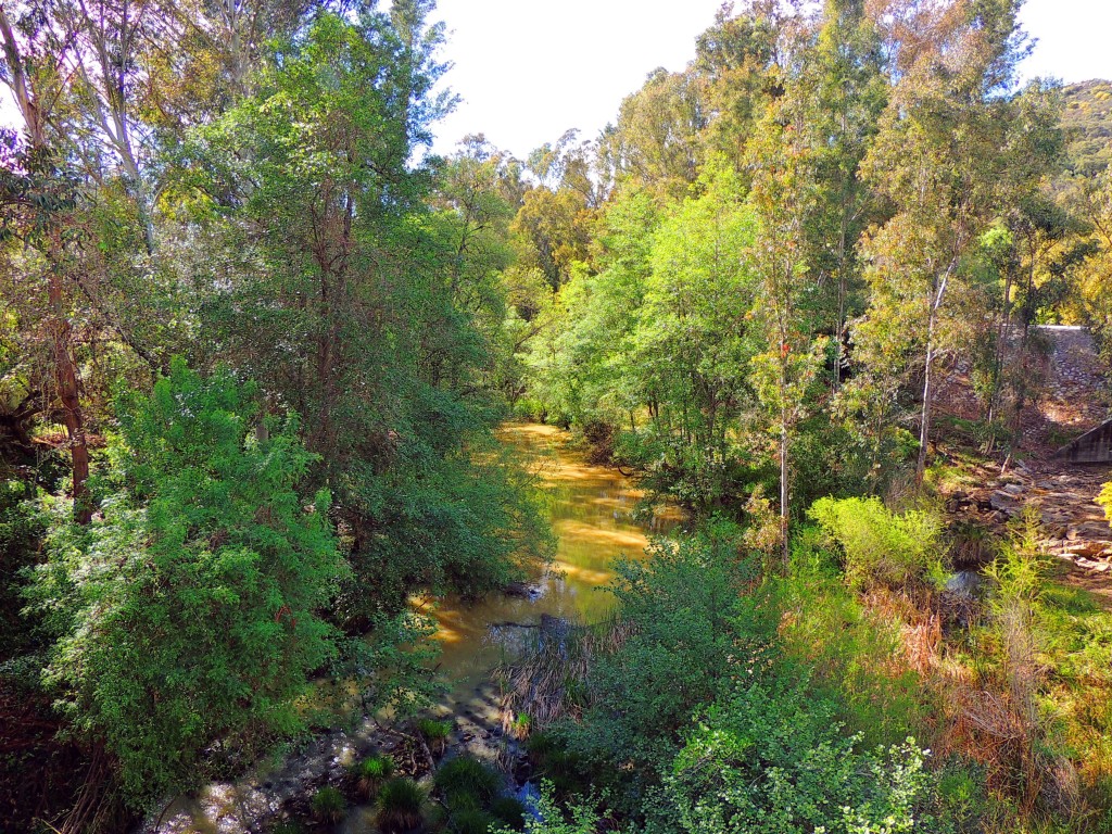 Foto de Castellar de la Frontera (Cádiz), España