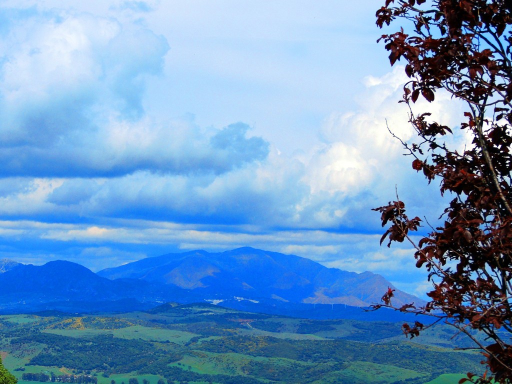 Foto: La Almoraima - Castellar de la Frontera (Cádiz), España