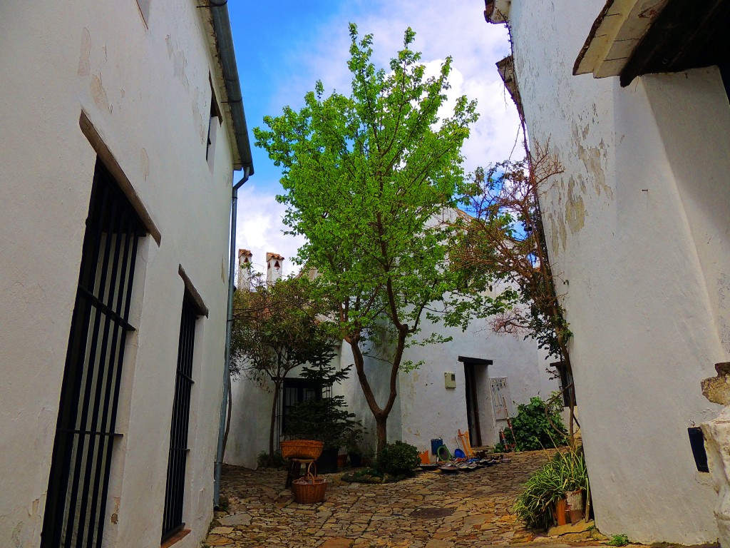 Foto: Villa-Fortaleza - Castellar de la Frontera (Cádiz), España