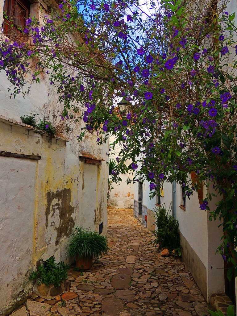 Foto: Villa-Fortaleza - Castellar de la Frontera (Cádiz), España