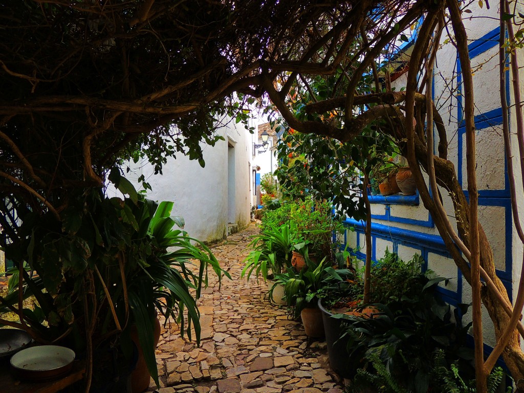 Foto: Villa-Fortaleza - Castellar de la Frontera (Cádiz), España