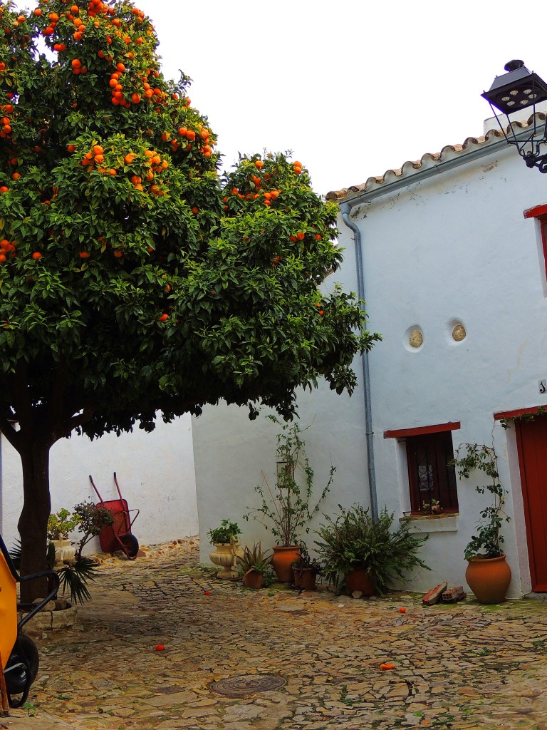 Foto: Villa-Fortaleza - Castellar de la Frontera (Cádiz), España