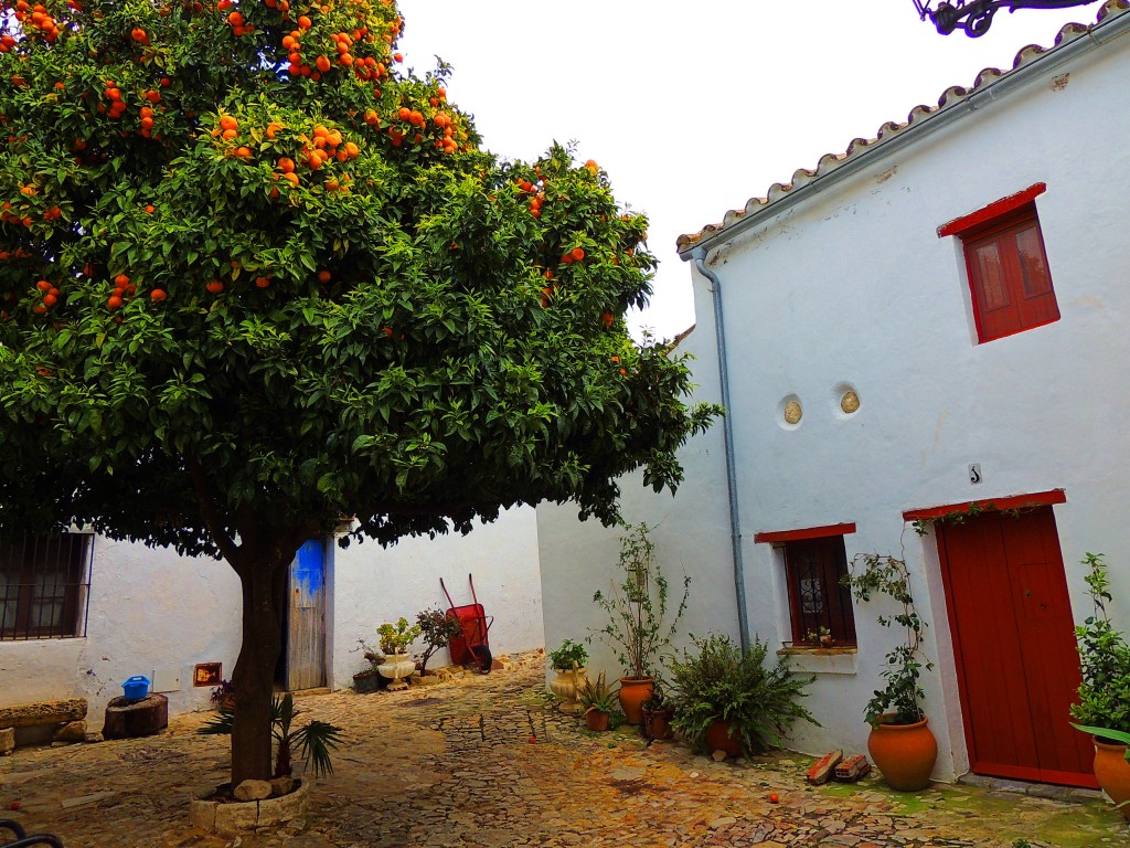 Foto: Villa-Fortaleza - Castellar de la Frontera (Cádiz), España