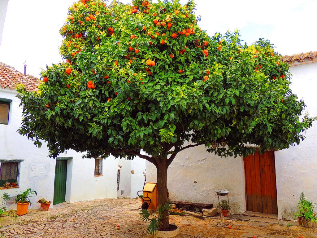 Foto: Villa-Fortaleza - Castellar de la Frontera (Cádiz), España