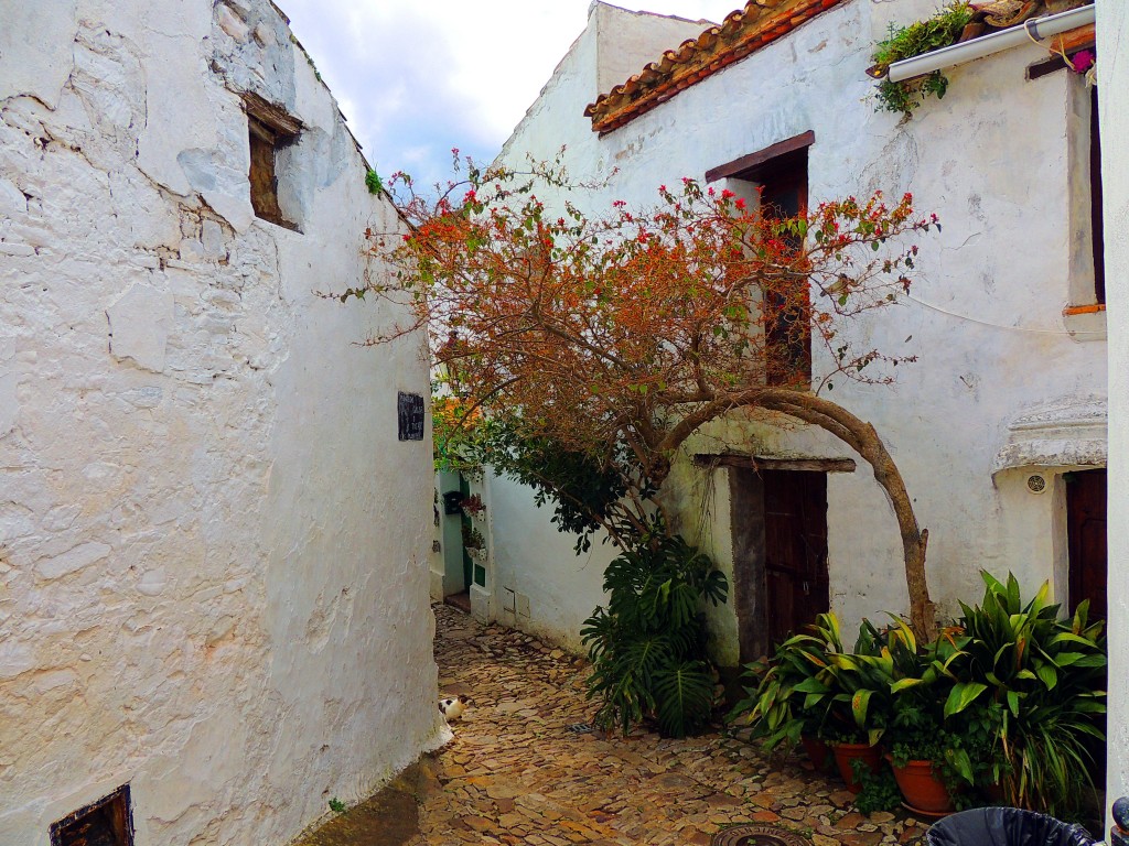 Foto: Villa-Fortaleza - Castellar de la Frontera (Cádiz), España