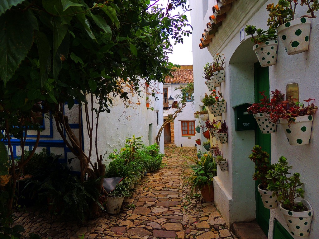 Foto: Villa-Fortaleza - Castellar de la Frontera (Cádiz), España