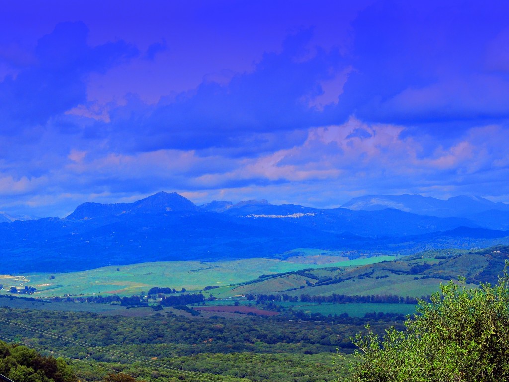 Foto: Al fondo Caares - Castellar de la Frontera (Cádiz), España