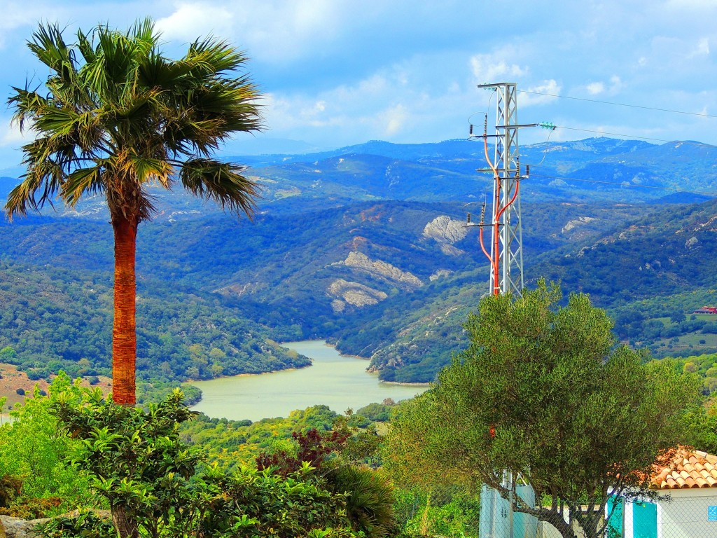 Foto: La Almoraima - Castellar de la Frontera (Cádiz), España