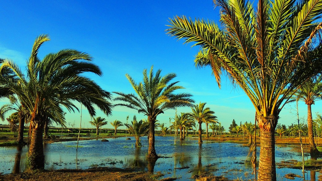 Foto de Sacramento (Sevilla), España