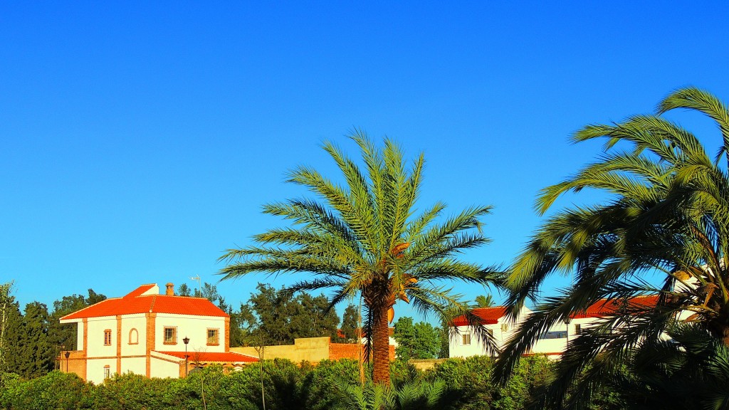 Foto de Sacramento (Sevilla), España