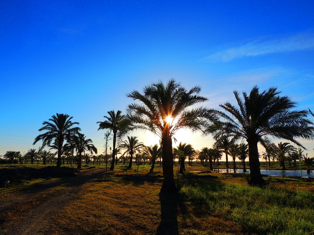 Foto de Sacramento (Sevilla), España