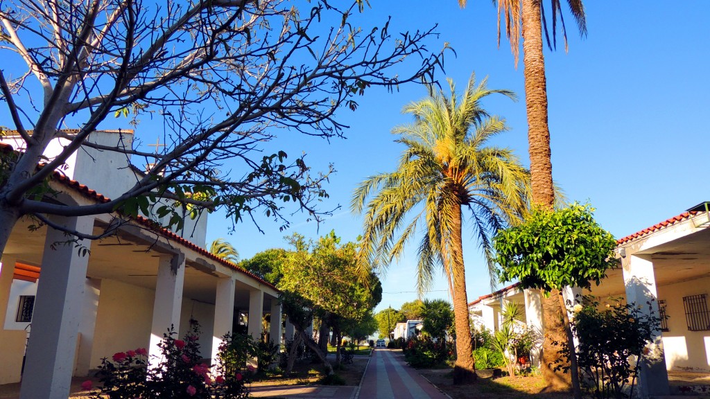 Foto: Calle Amor de Dios - Sacramento (Sevilla), España