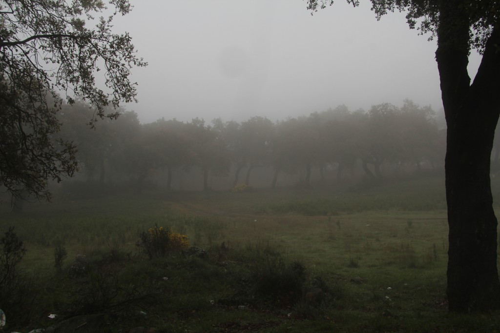 Foto de Grazalema (Cádiz), España