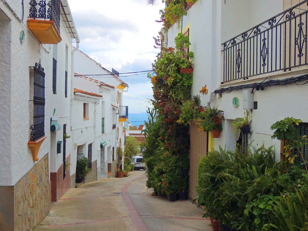 Foto: Calle Casares - Gaucín (Málaga), España