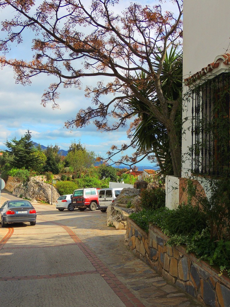 Foto: Calle Las Parras - Gaucín (Málaga), España