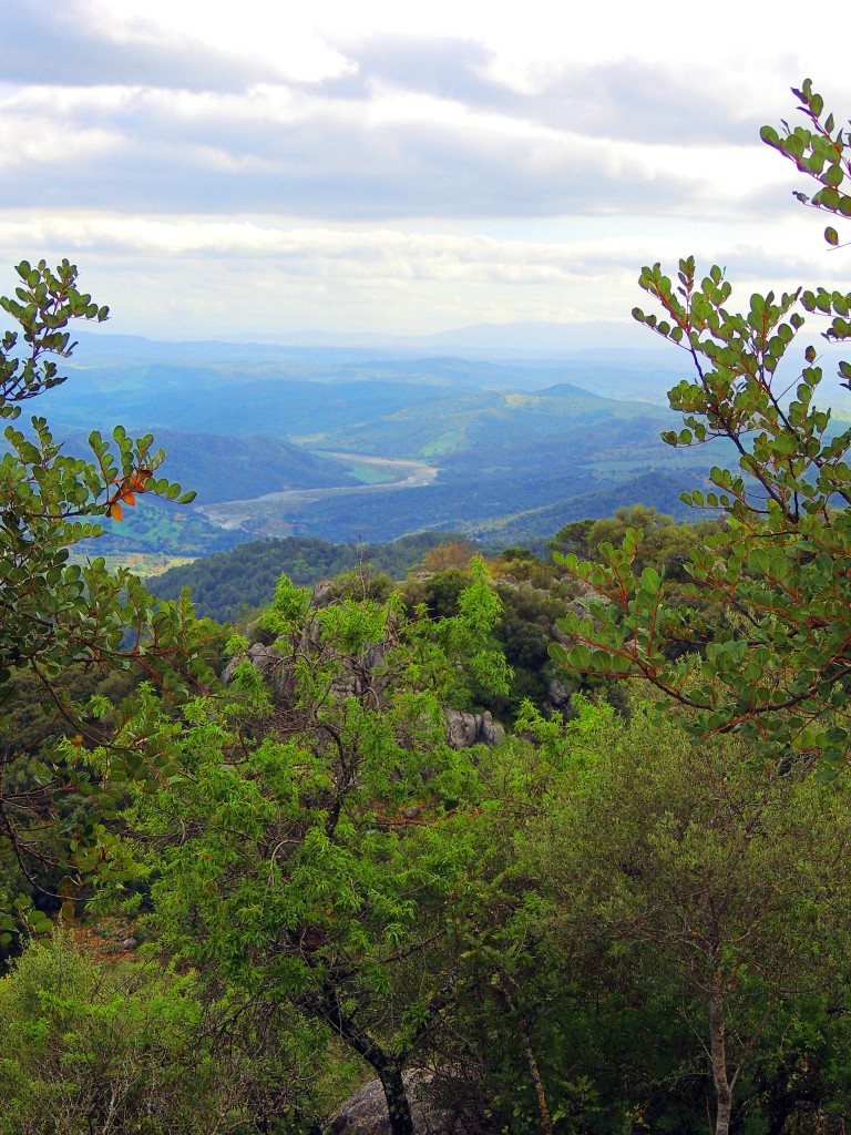 Foto: Vistas desde el Castillo - Gaucín (Málaga), España