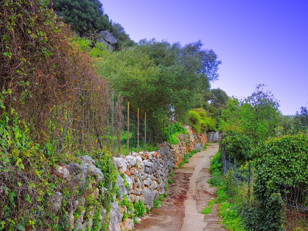 Foto de Gaucín (Málaga), España