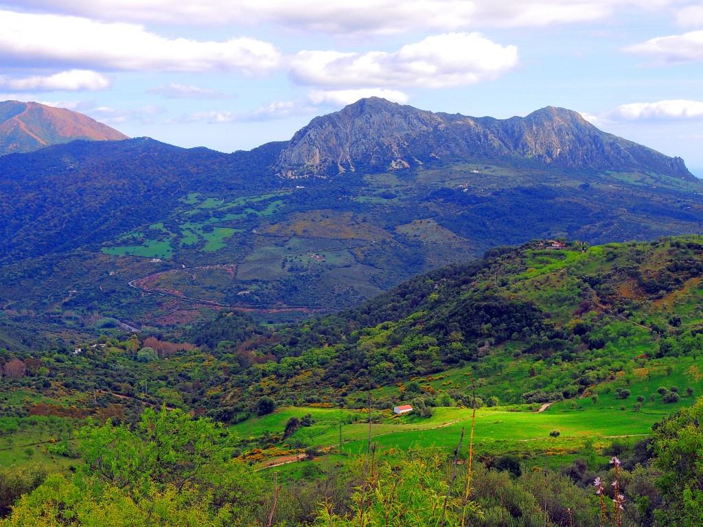 Foto: Sierra Crestellina - Gaucín (Málaga), España