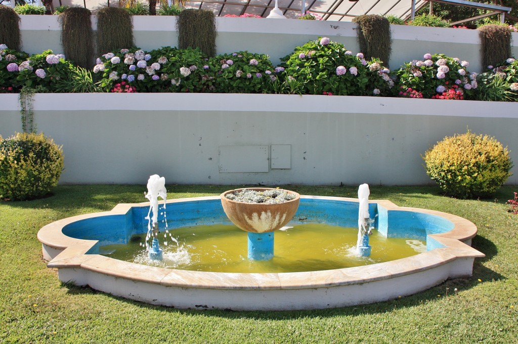 Foto: Jardines del Marquesado - La Orotava (Santa Cruz de Tenerife), España