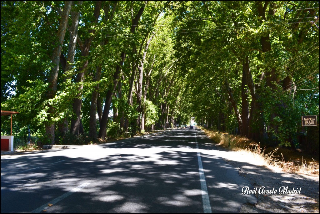 Foto de Codao (Libertador General Bernardo OʼHiggins), Chile