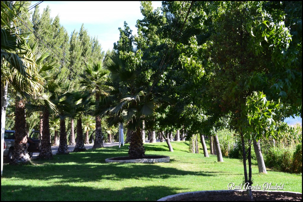 Foto de San Vicente de Tagua Tagua (Libertador General Bernardo OʼHiggins), Chile