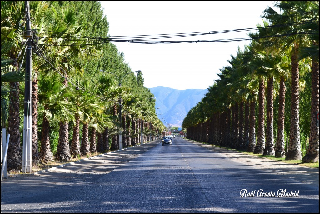 Foto de San Vicente de Tagua Tagua (Libertador General Bernardo OʼHiggins), Chile