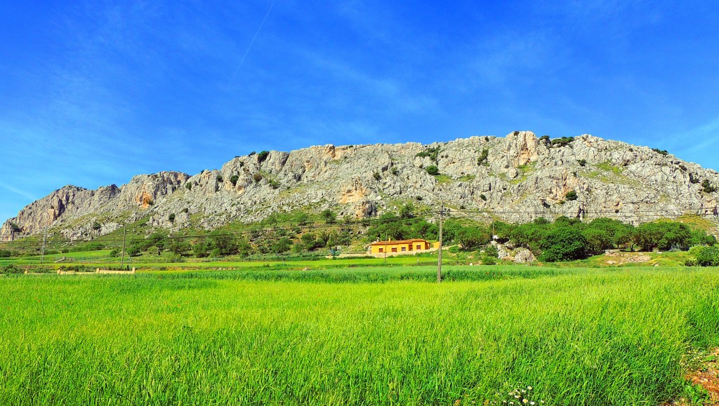 Foto de Cañete La Real (Málaga), España