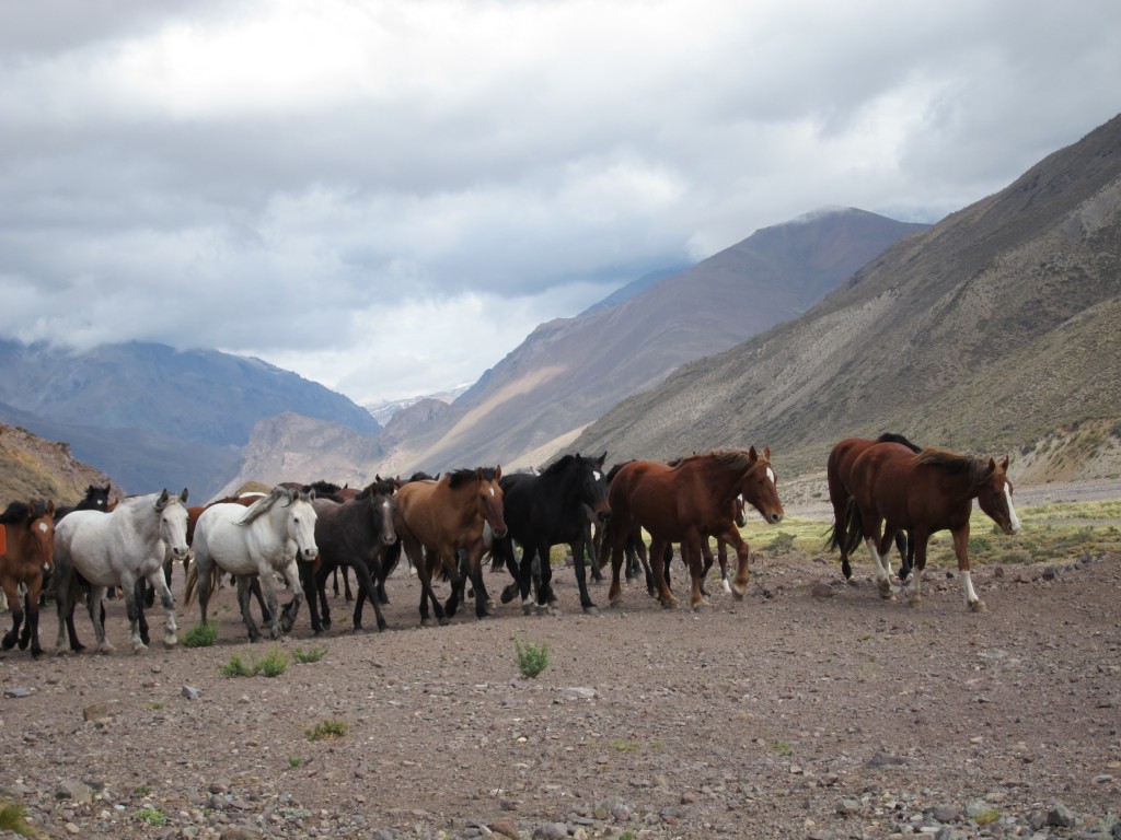 Foto: Camino a Las Leñas - Malargüe (Mendoza), Argentina