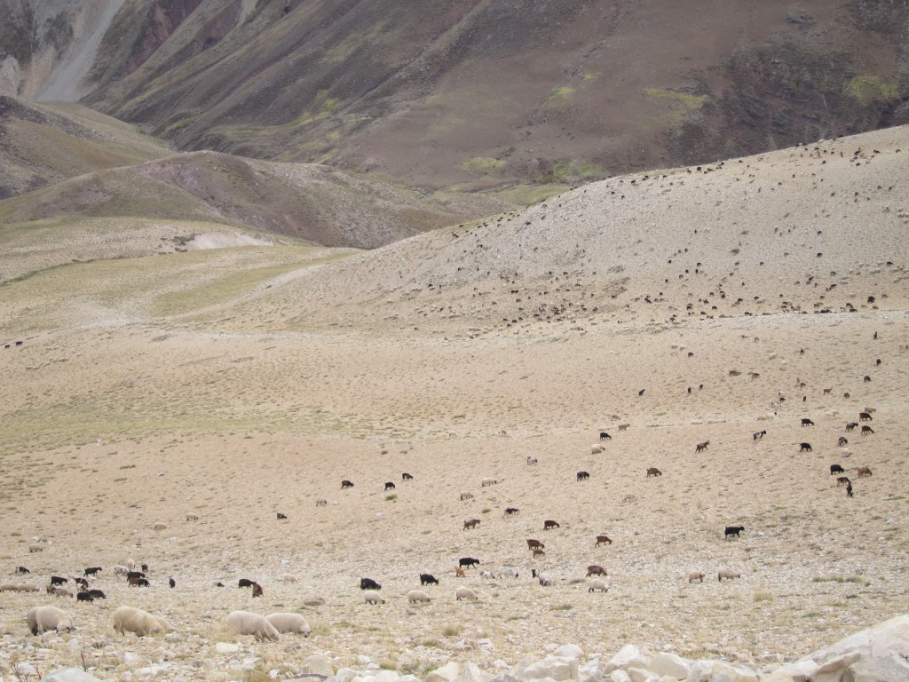 Foto: Camino a Valle Hermoso - Malargüe (Mendoza), Argentina