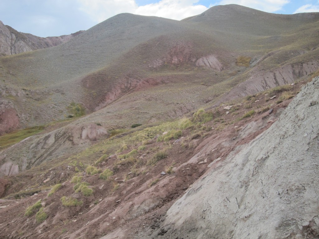 Foto: Camino a Valle Hermoso - Malargüe (Mendoza), Argentina