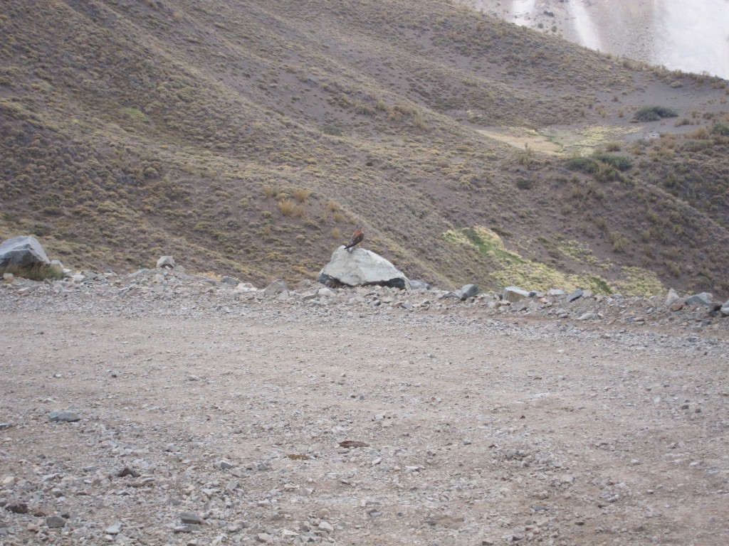 Foto: Valle Hermoso - Malargüe (Mendoza), Argentina