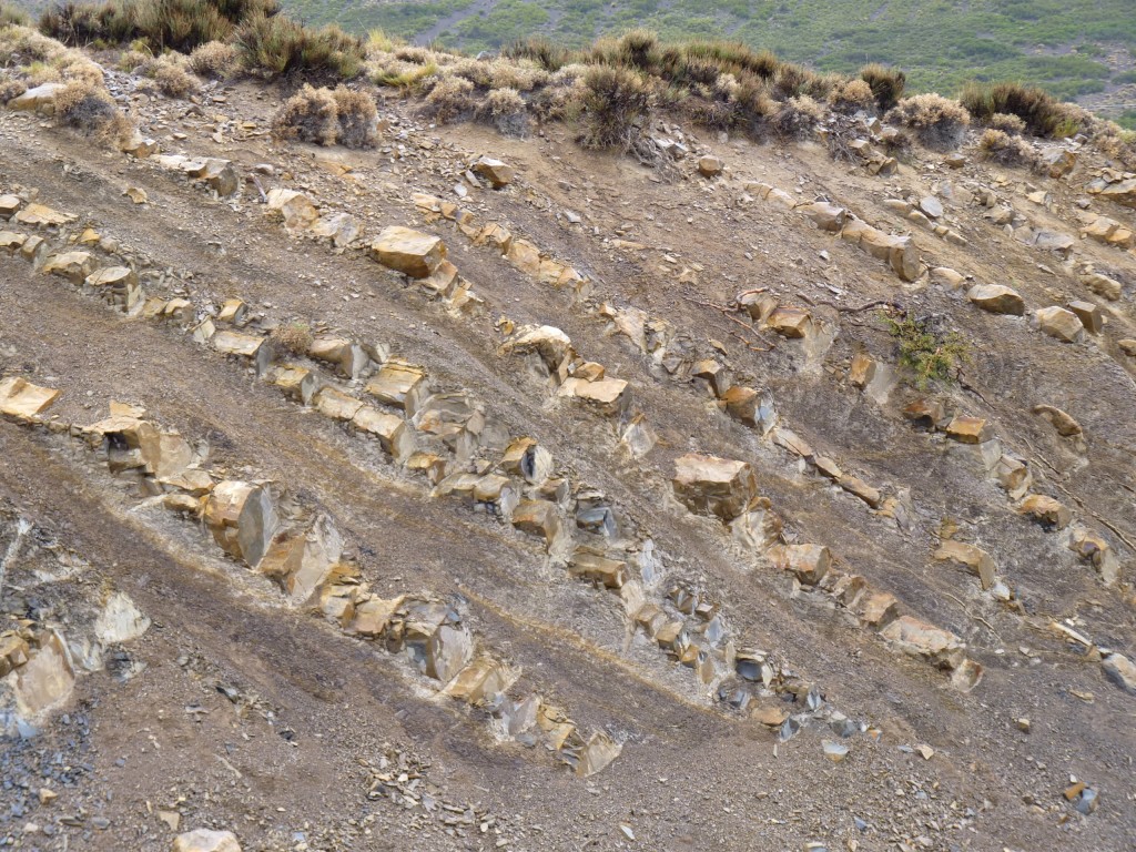 Foto: Los Molles - Malargüe (Mendoza), Argentina