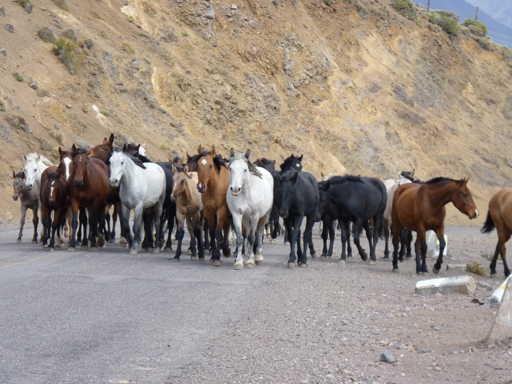 Foto: Los Molles - Malargüe (Mendoza), Argentina