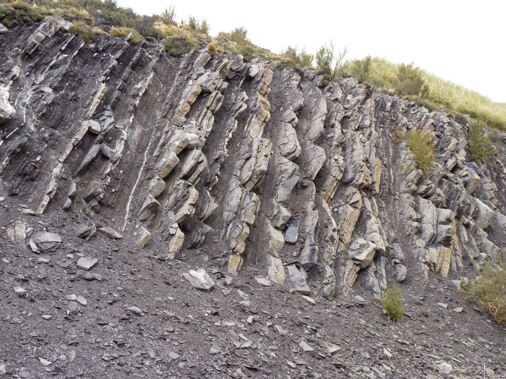 Foto: Los Molles - Malargüe (Mendoza), Argentina