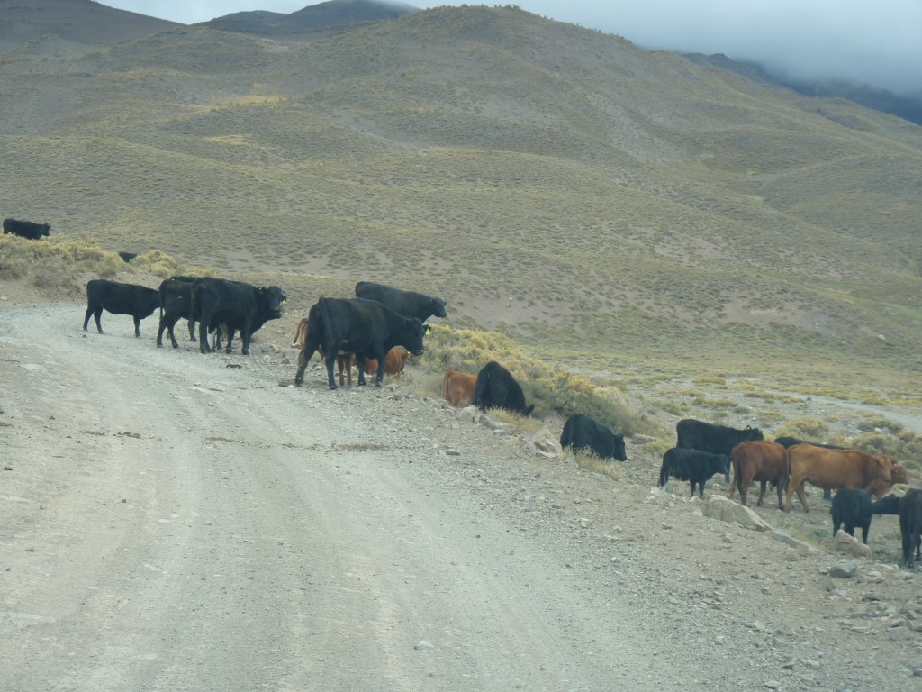 Foto: Camino a Las Leñas - Malargüe (Mendoza), Argentina