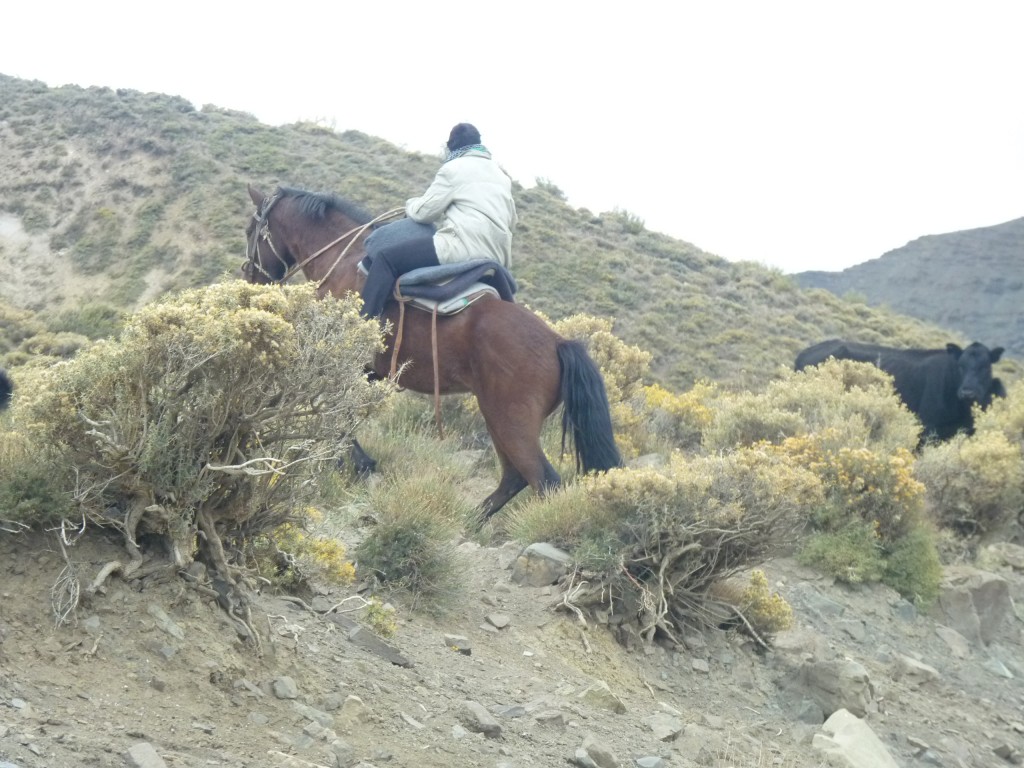 Foto: Camino a Las Leñas - Malargüe (Mendoza), Argentina