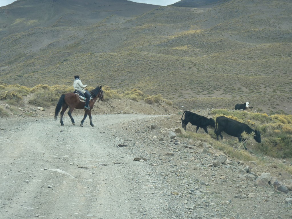 Foto: Camino a Las Leñas - Malargüe (Mendoza), Argentina