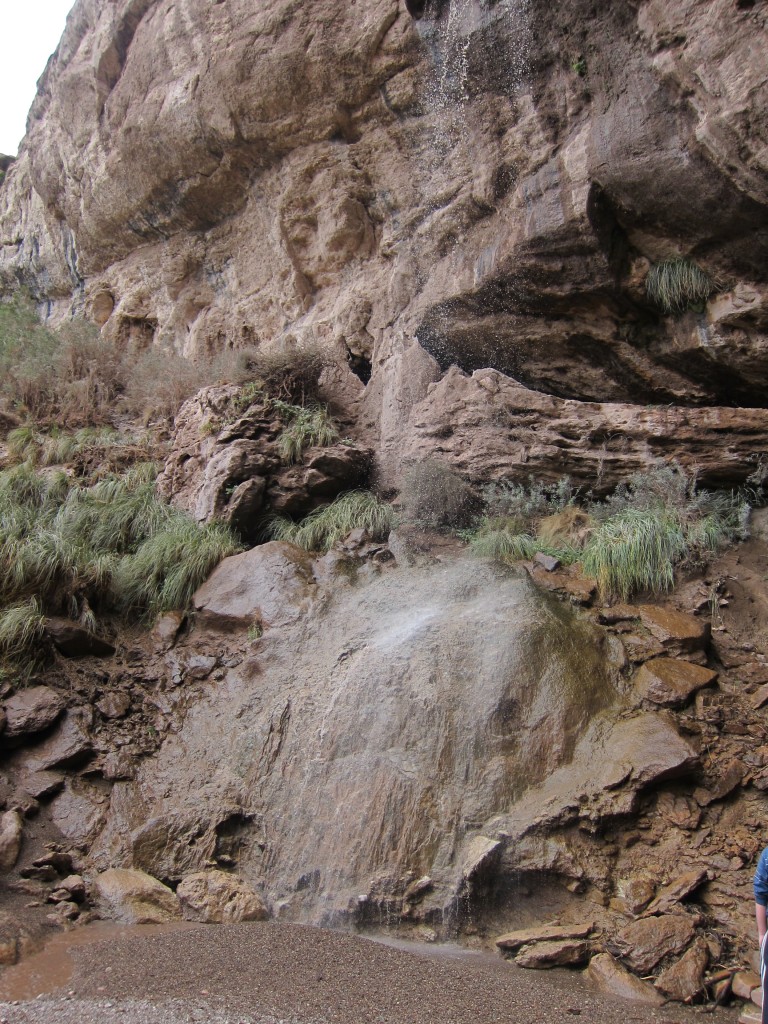 Foto: Bardas Blancas - Malargüe (Mendoza), Argentina