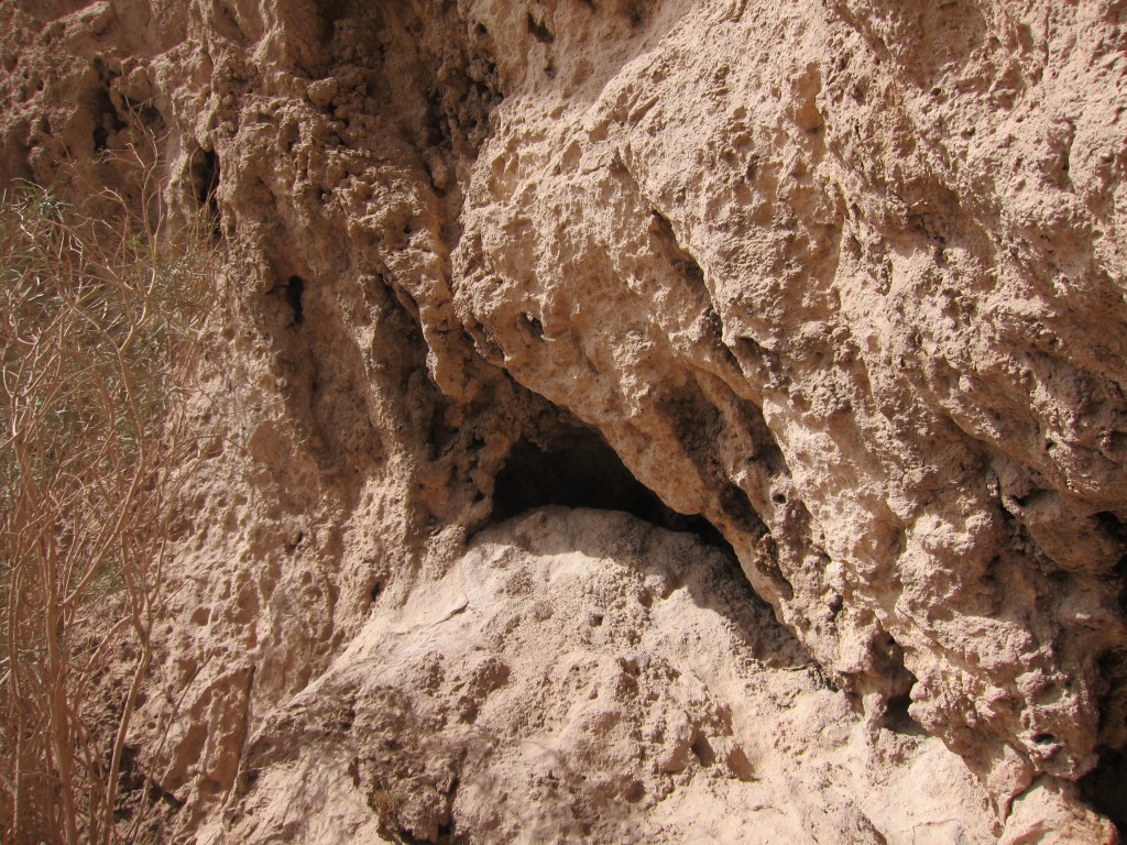 Foto: Bardas Blancas - Malargüe (Mendoza), Argentina